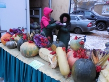 На улицу Усманова в Набережных Челнах завезли сельхозпродукции на 9,5 млн. рублей